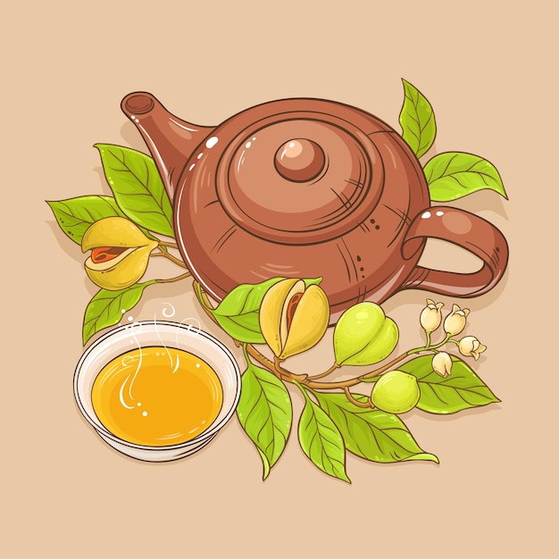 Nutmeg tea illustration