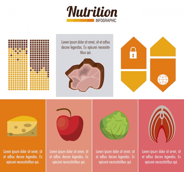 영양 및 식품 인포 그래픽