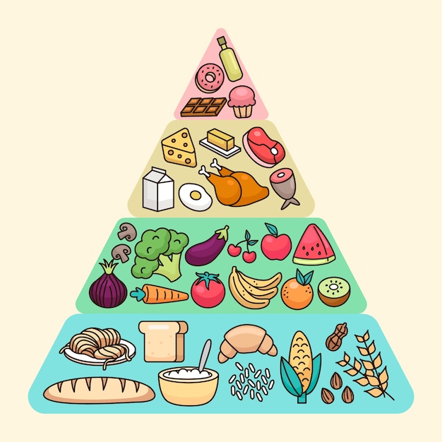 Vettore piramide alimentare nutrizionale