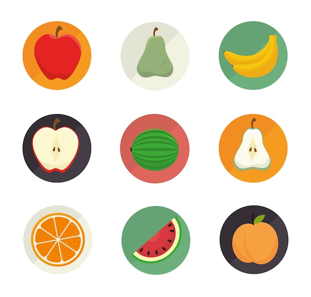 Vector nutrition healthy food isolated icon