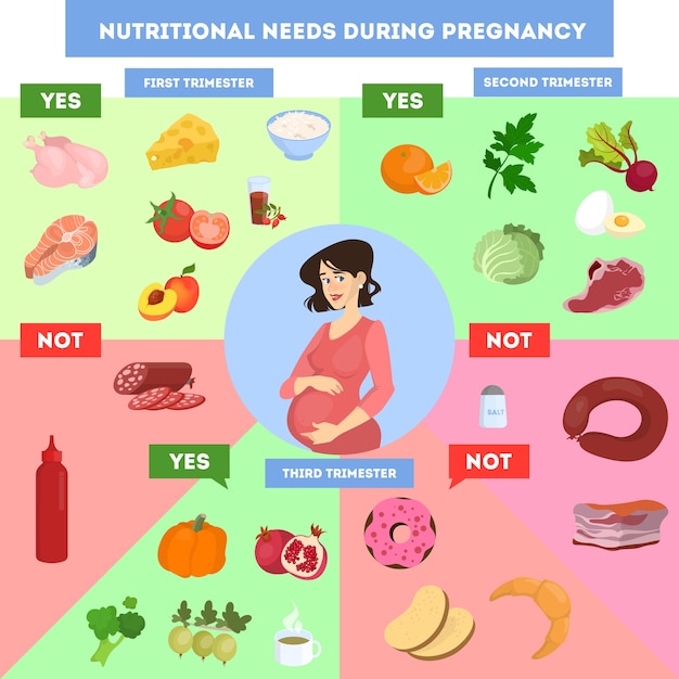 Infographics di nutrizione per la donna incinta. dieta sana