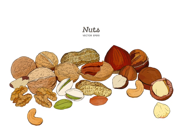 Nuts collection