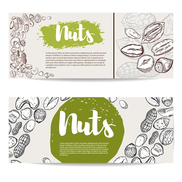 Nuts. flyer template with border from nuts illustrations.  element for poster, flyer, .  illustration