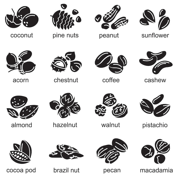 벡터 견과류 아이콘 세트
