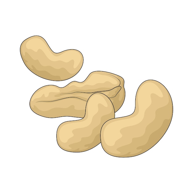 nuts illustration