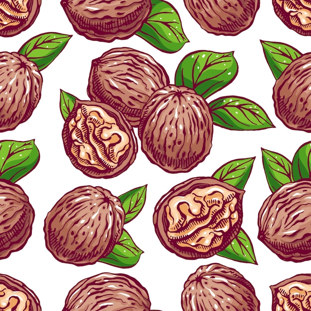 Nuts. seamless background with walnut and leaves. hand-drawn illustration