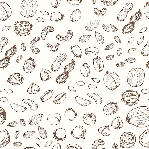 Vector nuts seamless pattern in hand drawn