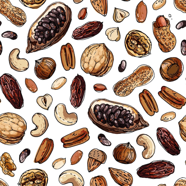 Vector nuts seampless pattern vector color food walnuts cocoa cashews dates hazelnuts