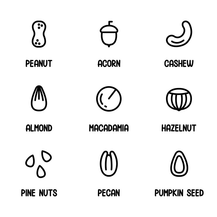वेक्टर nuts and seed icons set plant based diet ingredients nondairy milk symbols peanut acorn cashew