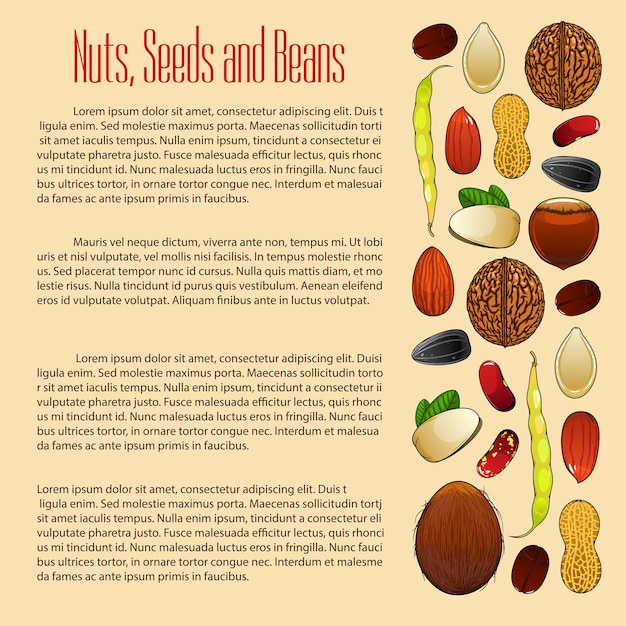 Векторный плакат с семенами орехов и фасолью