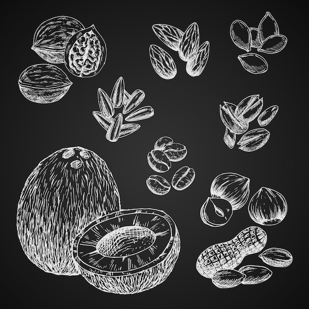 Vector nuts seeds and beans on chalckboard