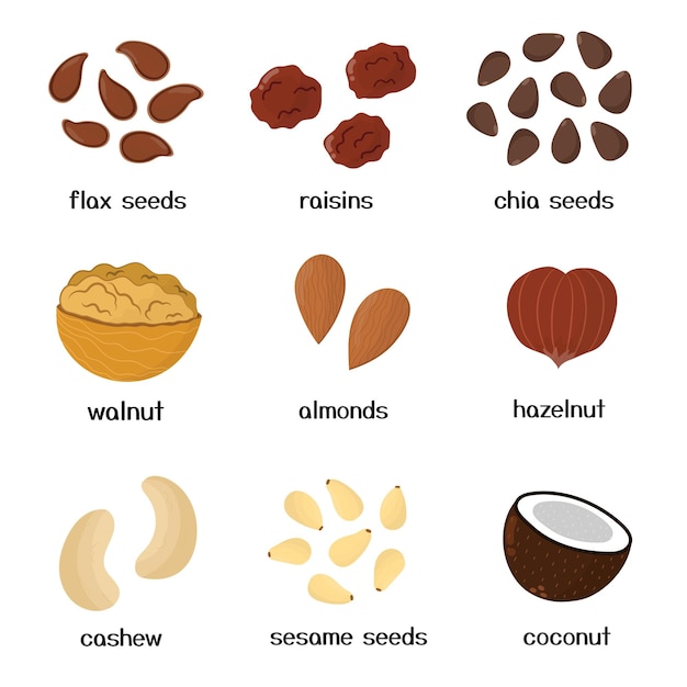 Vector nuts and seeds collection set of healthy food isolated elements in cartoon style