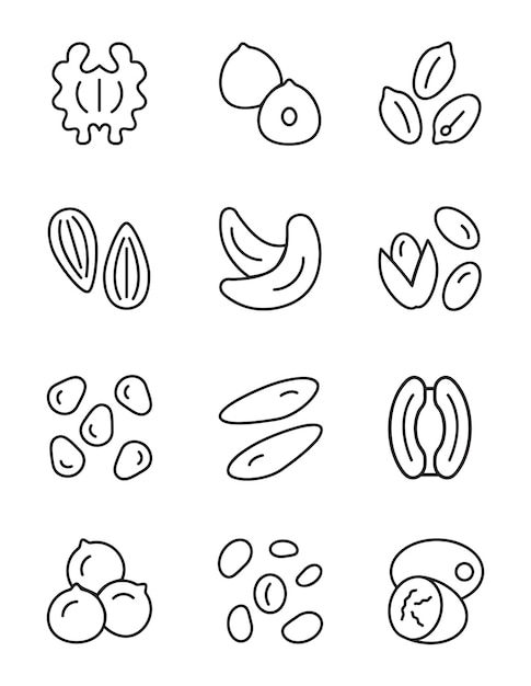 Vettore noci e semi in un insieme vettoriale di illustrazioni dal design piatto
