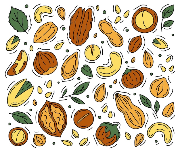 Vector nuts and seeds set of icons in the doodle style illustration