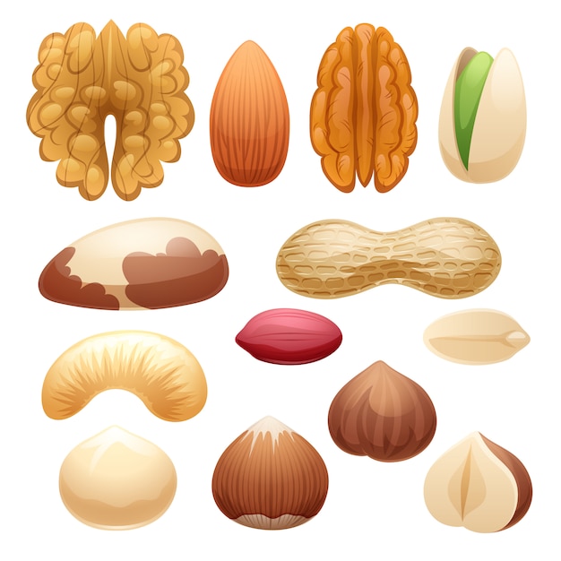 nuts set  illustration.