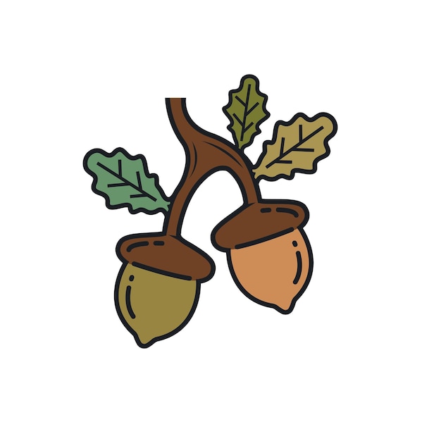 Oak acorn element vector illustration concept design