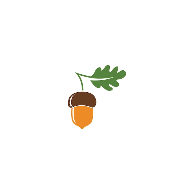 oak acorn vector illustration design template