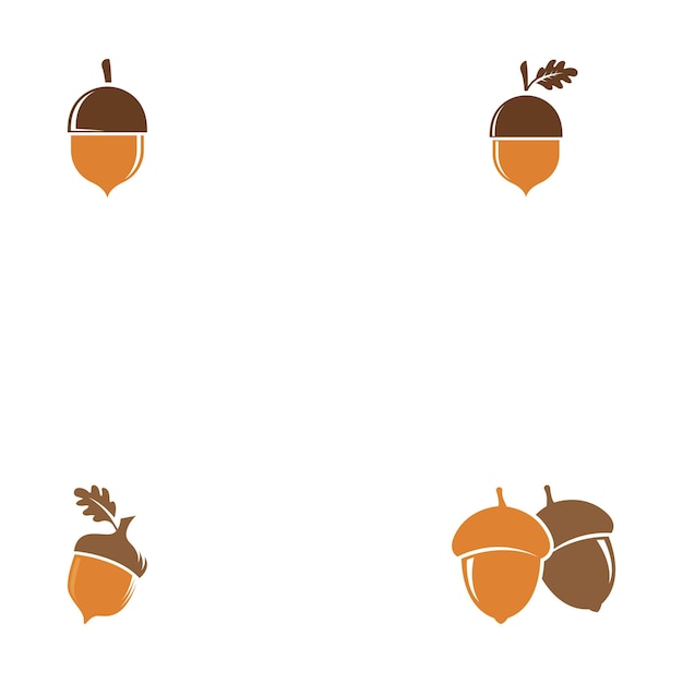 Vector oak acorn vector illustration design template