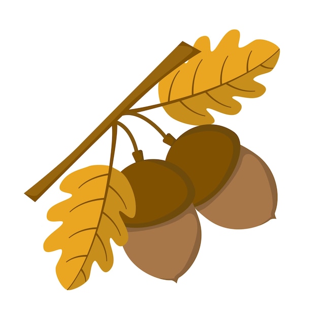 Vector oak acorn with yellow leaves in flat style. vector image.