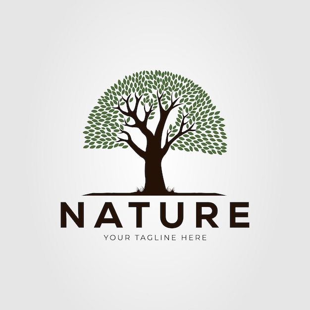 Oak or banyan tree and nature logo vector illustration design