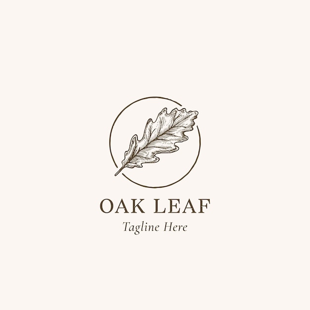 Vector oak leaf abstract vector sign, symbol or logo template. hand drawn autumn oak leaf sketch illustration in a circle frame with retro typography. isolated.