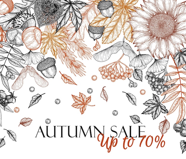 Vector oak leaf, acorns, berries, maple leaves, ginkgo, chestnut, physalis, rowan, sunflower