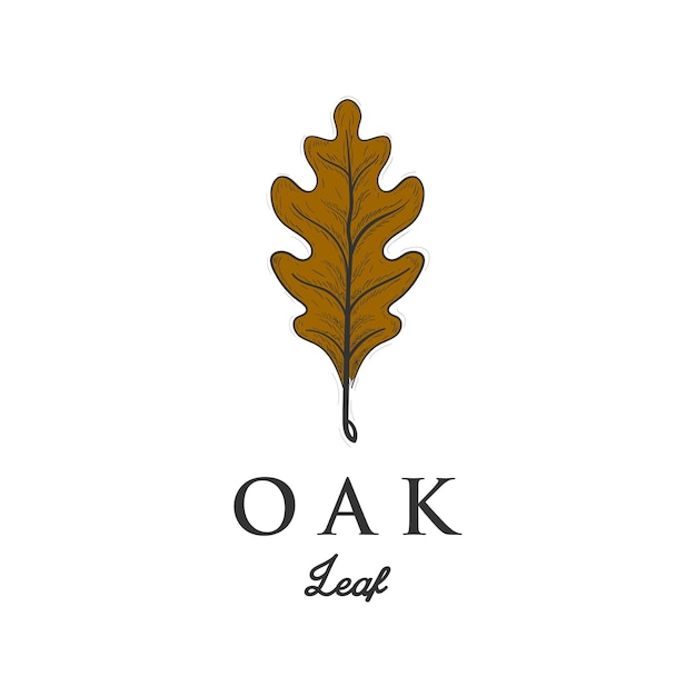 Oak leaf Autumn vector object isolated on white