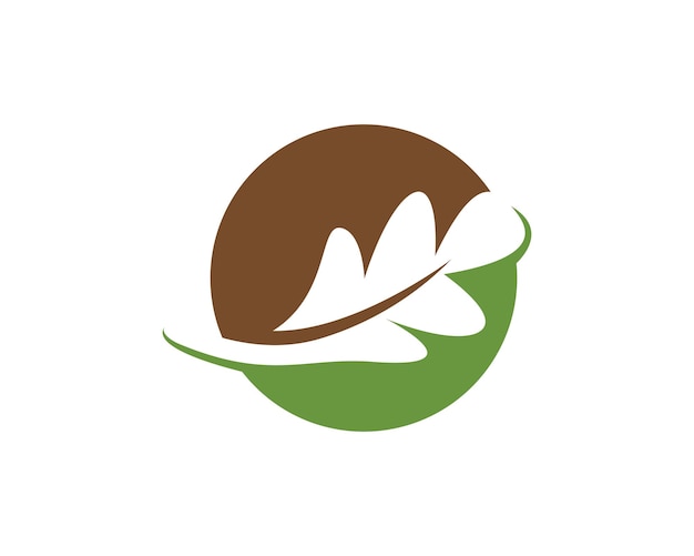 Oak leaf icon vector