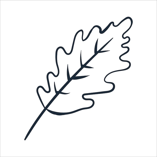 Векторная иллюстрация дубового листа с каракулями на тему уютной осени