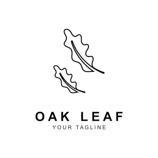 Oak leaf logo design template