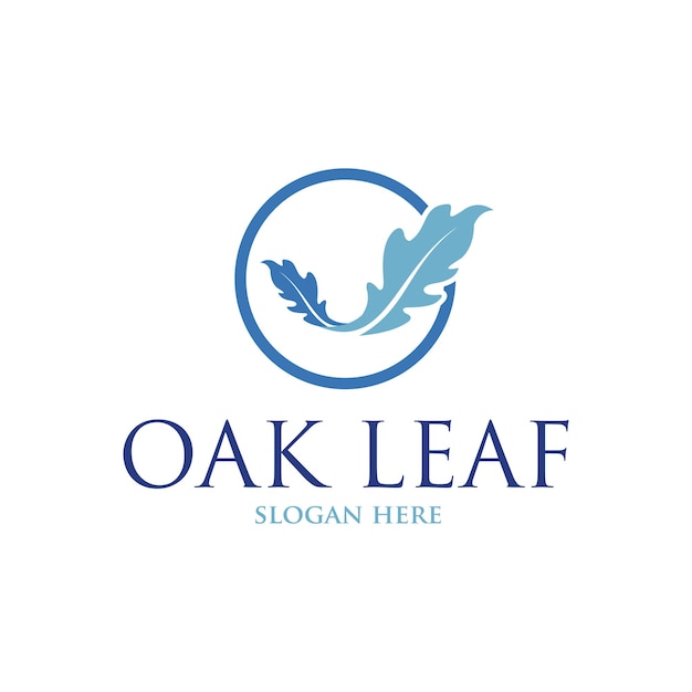 Oak leaf vector logo isolated. logo templates.