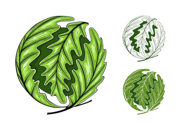 Oak Leaves Circle Concept, teken, logo. Vectorillustratie geïsoleerd op een witte achtergrond