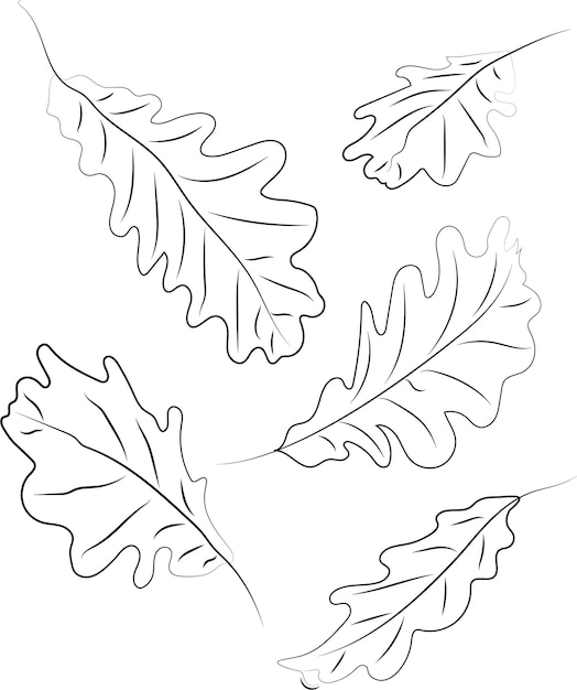 Дубовые листья линейное искусство листья, нарисованные черными линиями высококачественная векторная иллюстрация