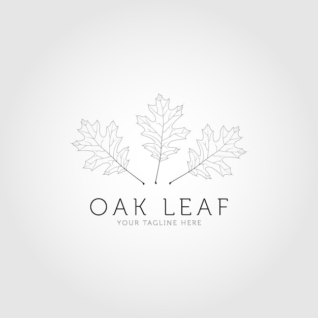 Oak logo design template, vector. oak leaf line art logo