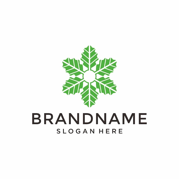 Oak nature leaf logo vector