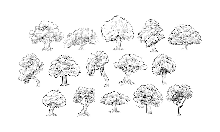 Vector oak tree handdrawn collection