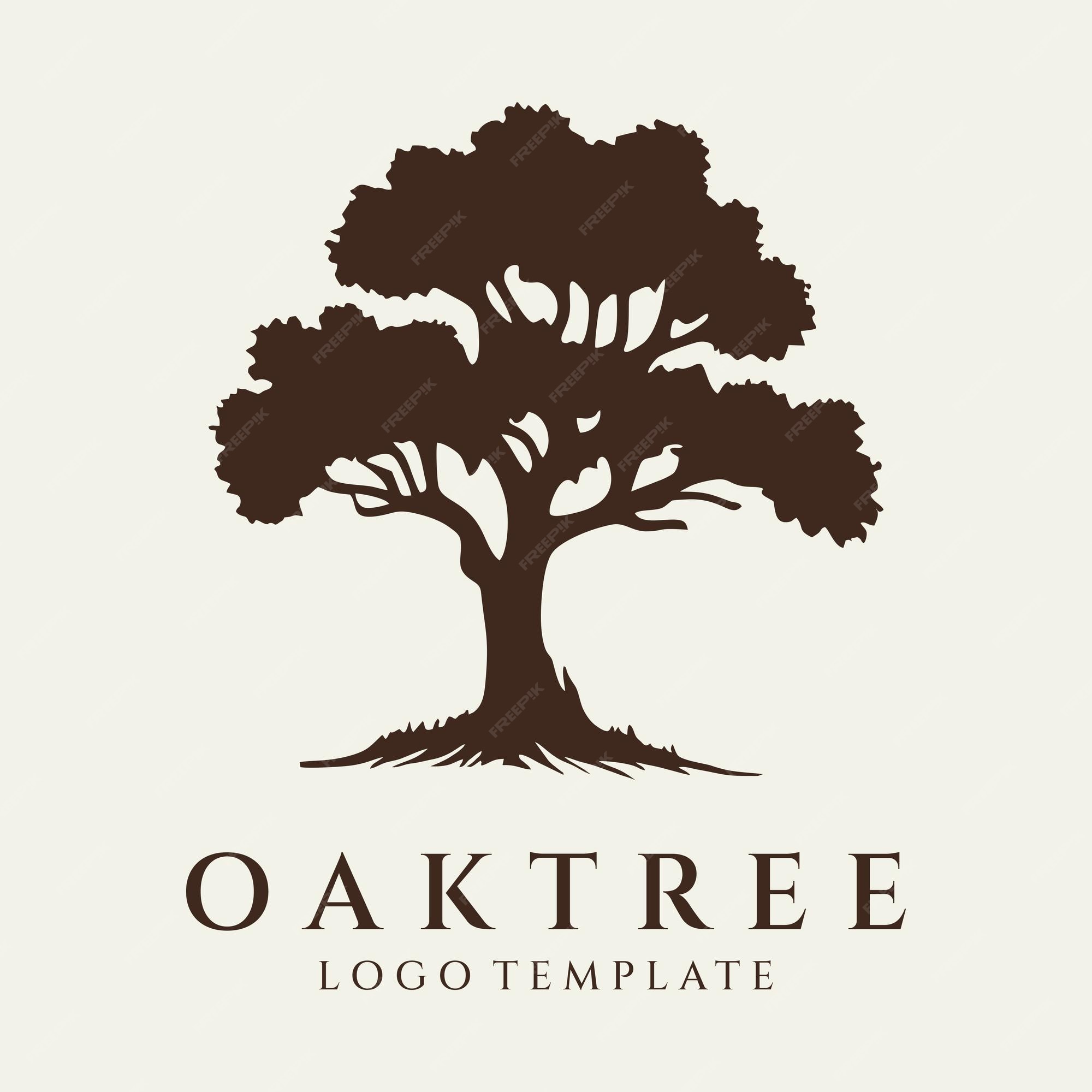 Premium Vector | Oak tree logo design vector illustration