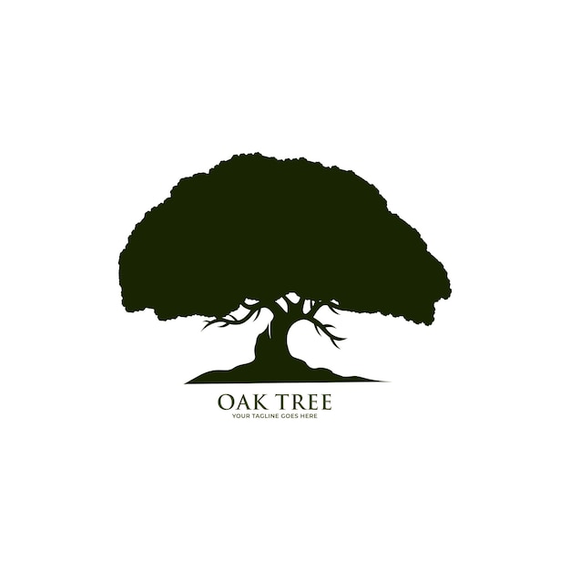 Oak tree logo template vector