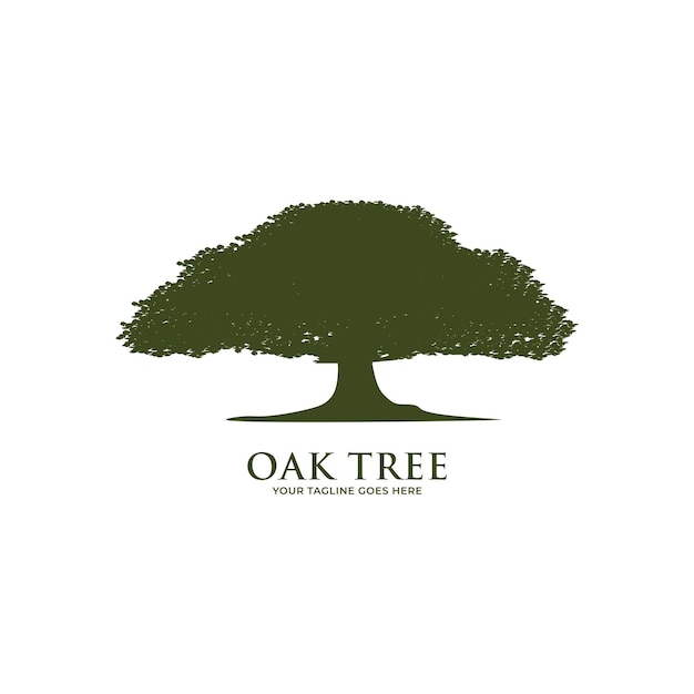 Oak tree logo template vector.