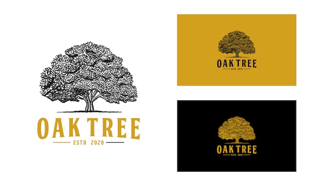 Vettore logo dell'albero di quercia