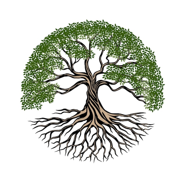 Albero di progettazione del logo della radice dell'albero di quercia a forma di cerchio per l'azienda con l'icona dell'albero