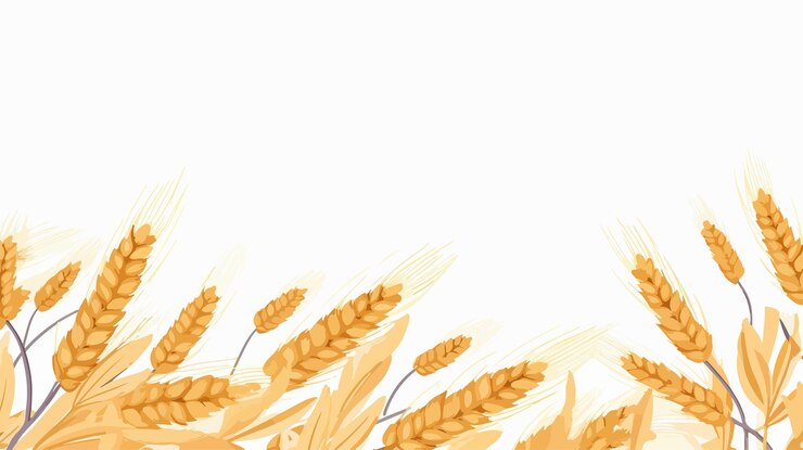 Vector oat pattern vector with free space for text wallpaper design