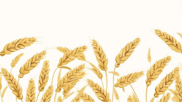 Vector oat pattern wallpaper with oat symbol and free space for design
