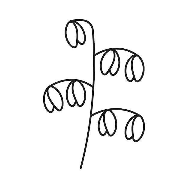 Oat plant with kernel line icon. linear sketch outline plant for agriculture, porridge oatmeal