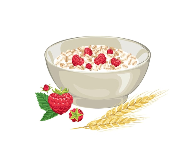 oatmeal with raspberry in bowl