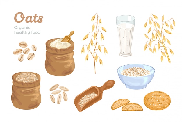 Vector oats grain, spikes and food set.