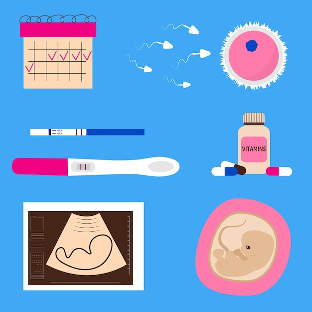 Vector objects of conception and pregnancy collection of gynecology icons set for pregnant women