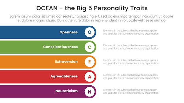 Ocean big five personality traits infographic 5 point stage template with rectangle round stack vertical concept for slide presentation vector