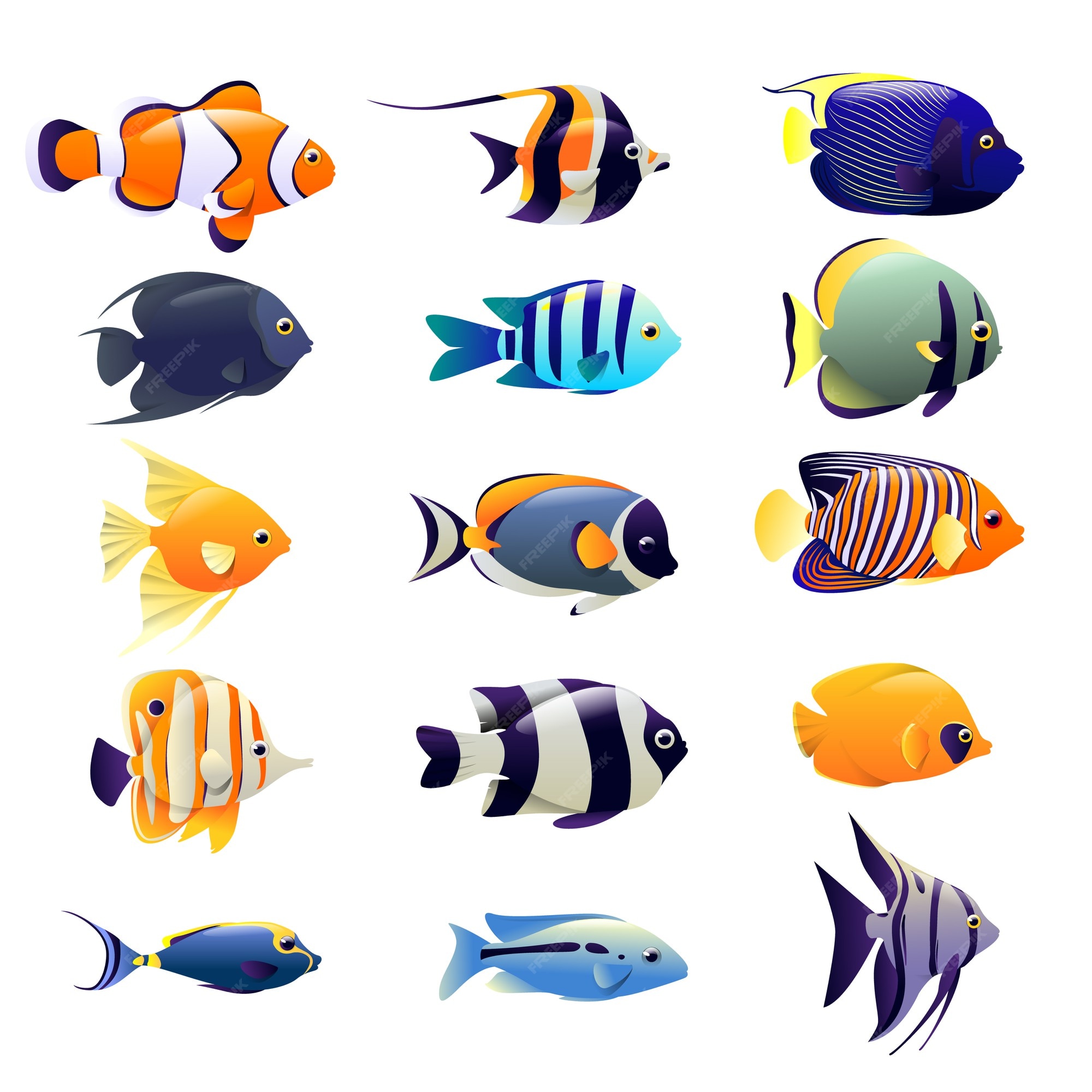 Free Vector  Aquarium fish set. underwater diving fishes isolated on white  background. color sea animal illustration