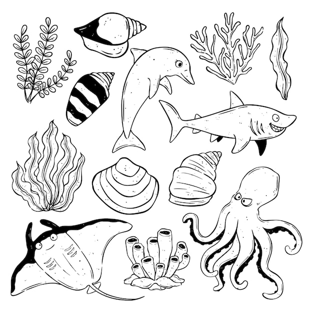 Ocean creatures hand drawing or sketch with dolphin seaweed shark stingray and octopus